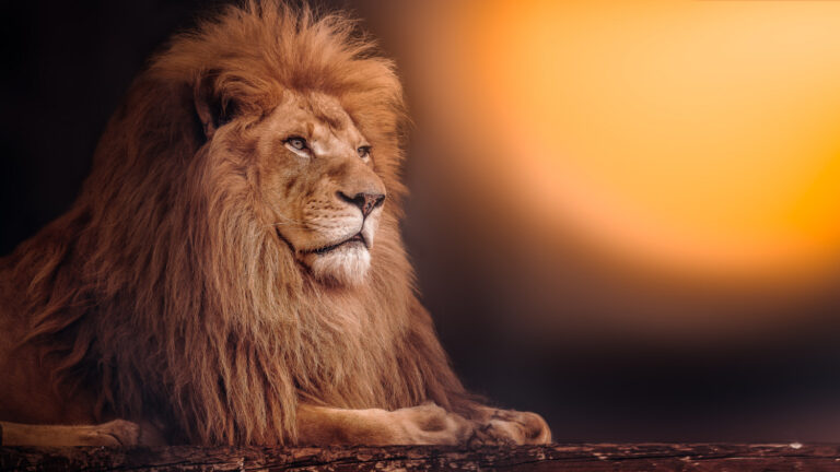 The Lion King - "Leadership on the Savannah: A King's Journey"